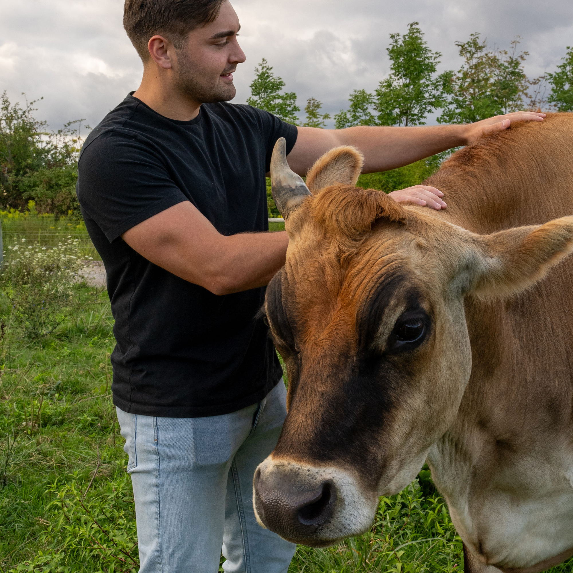 <p>No fillers, just calm, supported skin.</p>